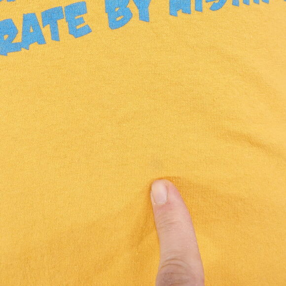 VINTAGE CAPTAIN MORGAN RUM LIQUOR PROMO FUFTH SUN 00s Y2K TSHIRT SIZE L - Picture 4 of 8